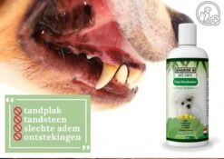 Easy Mondwater Voor Honden - 237 Ml - Tegen Stinkende Adem - Tandplak - Tandsteen - Tandvleesproblemen -Dieren Product Winkel 1200x852 13