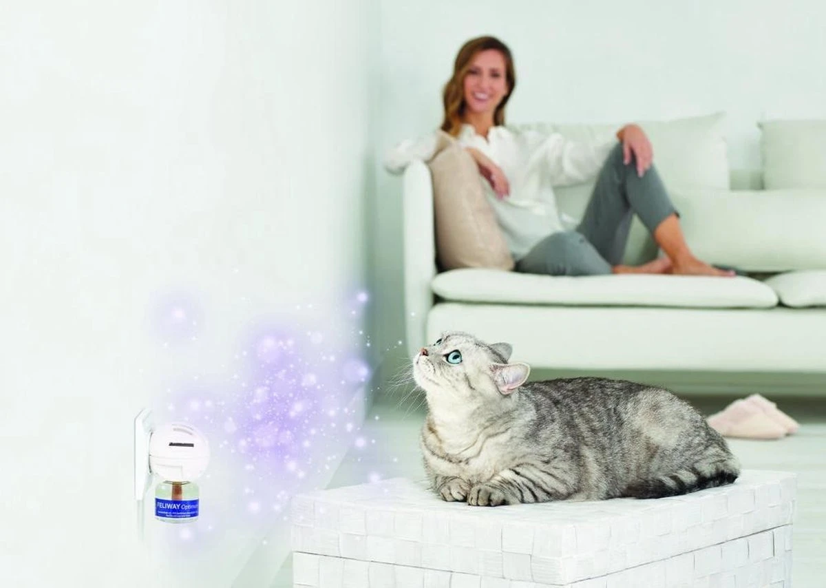 Feliway Optimum - Navulling - Flacon 48ml - Anti-stress Kat 2 Feliway Optimum - Navulling - Flacon 48ml - Anti-stress Kat - Afbeelding 2