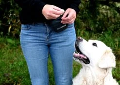 Show Tech - Clip On Treat Pouch - Beloningstasje Voor Honden - Beloningszakje - Heuptas Honden Training -Dieren Product Winkel 1200x856 12