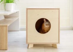 Catandwood Kattenhuis - Kattenbakcontainer - Kattenbak Ombouw - Hout 13 Catandwood Kattenhuis - Kattenbakcontainer - Kattenbak Ombouw - Hout -Dieren Product Winkel 1200x856 4