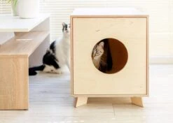 Catandwood Kattenhuis - Kattenbakcontainer - Kattenbak Ombouw - Hout 14 Catandwood Kattenhuis - Kattenbakcontainer - Kattenbak Ombouw - Hout -Dieren Product Winkel 1200x857 2