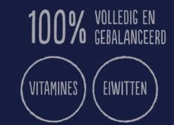 Felix Elke Dag Feest Mix Selectie In Gelei Junior - Katten Droogvoer - 48 X 85g -Dieren Product Winkel 1200x858 1