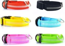 Lichtgevende Halsband LED Maat XS 28 - 38 Cm USB Oplaadbaar Hondenhalsband Puppy Riem - Roze Hond Dog Kat Kitten Cat - Dutchwide -Dieren Product Winkel 1200x863 11