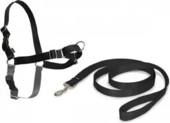 Petsafe Easy Walk® Deluxe Harness - Hondentuigje - Blauw - M - 1,8 M -Dieren Product Winkel 1200x863 7