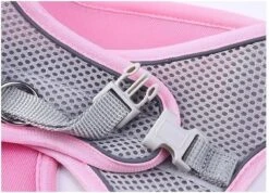 Hondentuigje Voor Kleine Puppy's & Kleine Honden - Blauw - Maat M -Dieren Product Winkel 1200x864 13