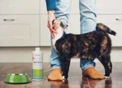 OxyFresh Pet Mondwater Hond En Kat. Helpt Tegen Tandsteen, Plak En Vieze Ademgeurtjes -Dieren Product Winkel 1200x864 5