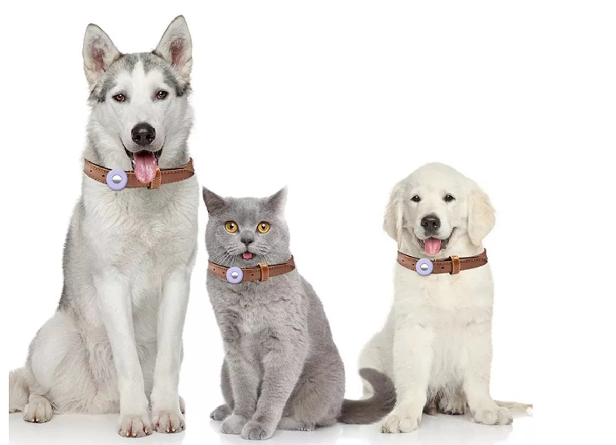 |Twinza| Hond En Kat Huisdieren Siliconen Halsband - Bescherm Hoesje/houder Geschikt Voor Apple Airtag - Halsband Airtag Houder - Tracking - Zwart - 2stuks 2 |Twinza| Hond En Kat Huisdieren Siliconen Halsband - Bescherm Hoesje/houder Geschikt Voor Apple Airtag - Halsband Airtag Houder - Tracking - Zwart - 2stuks - Afbeelding 2