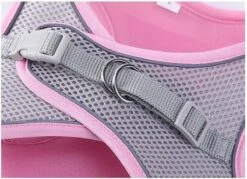 Hondentuigje Voor Kleine Puppy's & Kleine Honden - Blauw - Maat M -Dieren Product Winkel 1200x869 4