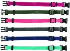 Trixie Puppy Halsband 17-25cm Set Fuchsia-legergroen-roze-donkergrijs-donkerblauw/turquoise 6st -Dieren Product Winkel 1200x871 5
