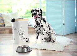 Curver Voercontainer Hond So Tasty - Hondenvoerbewaarbak - 54 L - 50 X 28 X 60,5 Cm -Dieren Product Winkel 1200x872 5