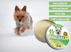 100% Natuurlijke Potenbalsem - Paw Balm - Voor Honden Tot 15 Kg - Beschermt Voetzooltjes - Tegen Kloven, Wondjes, Ontstekingen -Dieren Product Winkel 1200x872 9