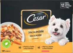 Cesar Selectie In Gelei Maaltijdzakjes Honden Natvoer - Vlees En Groenten In Gelei - 48 X 100g -Dieren Product Winkel 1200x874 3