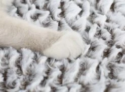 Merkloos Zelfverwarmende Dierendeken Zonder Stroom Thermo Deken Hond Kat Inclusief Adreslabel 70 X 47 Cm 14 Merkloos Zelfverwarmende Dierendeken Zonder Stroom Thermo Deken Hond Kat Inclusief Adreslabel 70 X 47 Cm -Dieren Product Winkel 1200x878 5