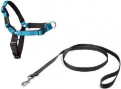 Petsafe Easy Walk® Deluxe Harness - Hondentuigje - Blauw - M - 1,8 M -Dieren Product Winkel 1200x880 8