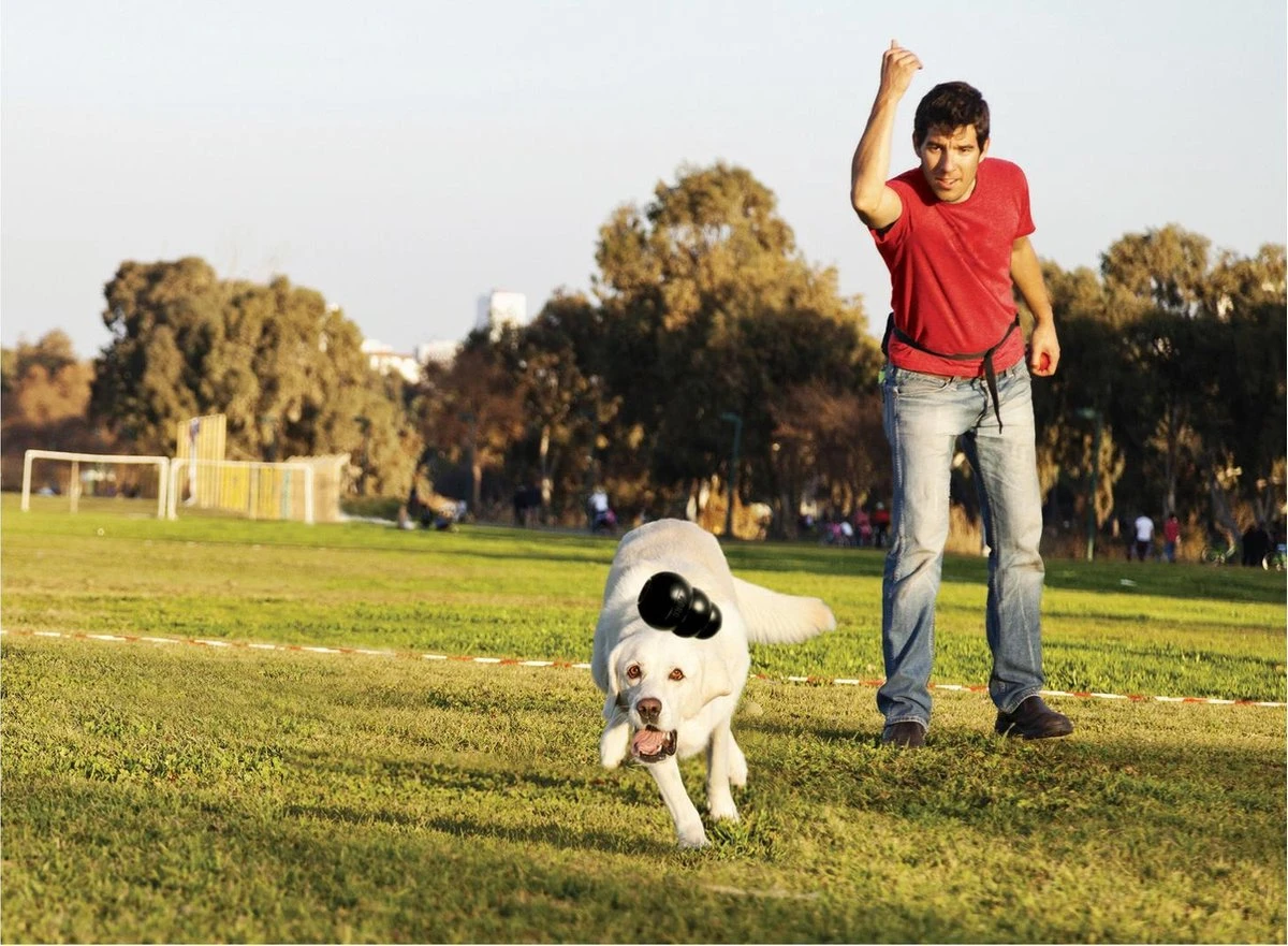 Kong Extreme 20 Kong Extreme - Afbeelding 20