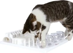 Trixie Cat Activity Fun Bord - 40X30 CM -Dieren Product Winkel 1200x883