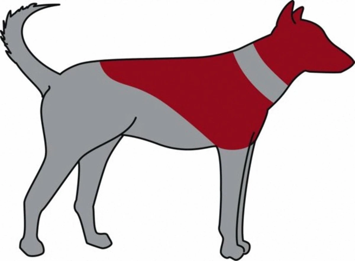 Trixie Opblaasbare Beschermkraag S - Dierenbeschermkraag 3 Trixie Opblaasbare Beschermkraag S - Dierenbeschermkraag - Afbeelding 3