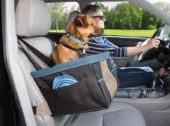 Kurgo Rover Booster Seat - Verhoogde Autostoel Met Eenvoudige Bevestiging Voor Kleine Honden Tot 13kg - Zwart/Blauw 30x40x20cm 12 Kurgo Rover Booster Seat - Verhoogde Autostoel Met Eenvoudige Bevestiging Voor Kleine Honden Tot 13kg - Zwart/Blauw 30x40x20cm -Dieren Product Winkel 1200x887 3