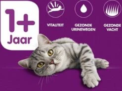 Whiskas 1+ Kattenbrokken - Kip - Zak 1 X 7 Kg -Dieren Product Winkel 1200x896