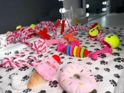 Honden Speelgoed - Puppy Speelgoed - 11 Stuks - Roze - 1 Speeltje Gratis - Honden Knuffel - Trektouw - Honden Speeltjes -Dieren Product Winkel 1200x898 8