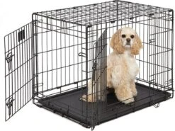 Hondenbench Basic Zwart M - Zwart - 77 X 47 X 55 Cm