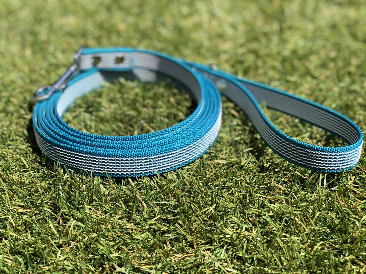 Merkloos Hondenriem - Antislip Lijn - 3 Meter - Turquoise - Training - Anti Slip - Volglijn - Looplijn - Speurlijn - Puppy 1 Merkloos Hondenriem - Antislip Lijn - 3 Meter - Turquoise - Training - Anti Slip - Volglijn - Looplijn - Speurlijn - Puppy