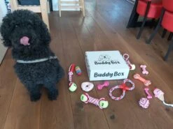 Honden Speelgoed - Puppy Speelgoed - 11 Stuks - Roze - 1 Speeltje Gratis - Honden Knuffel - Trektouw - Honden Speeltjes -Dieren Product Winkel 1200x899 26