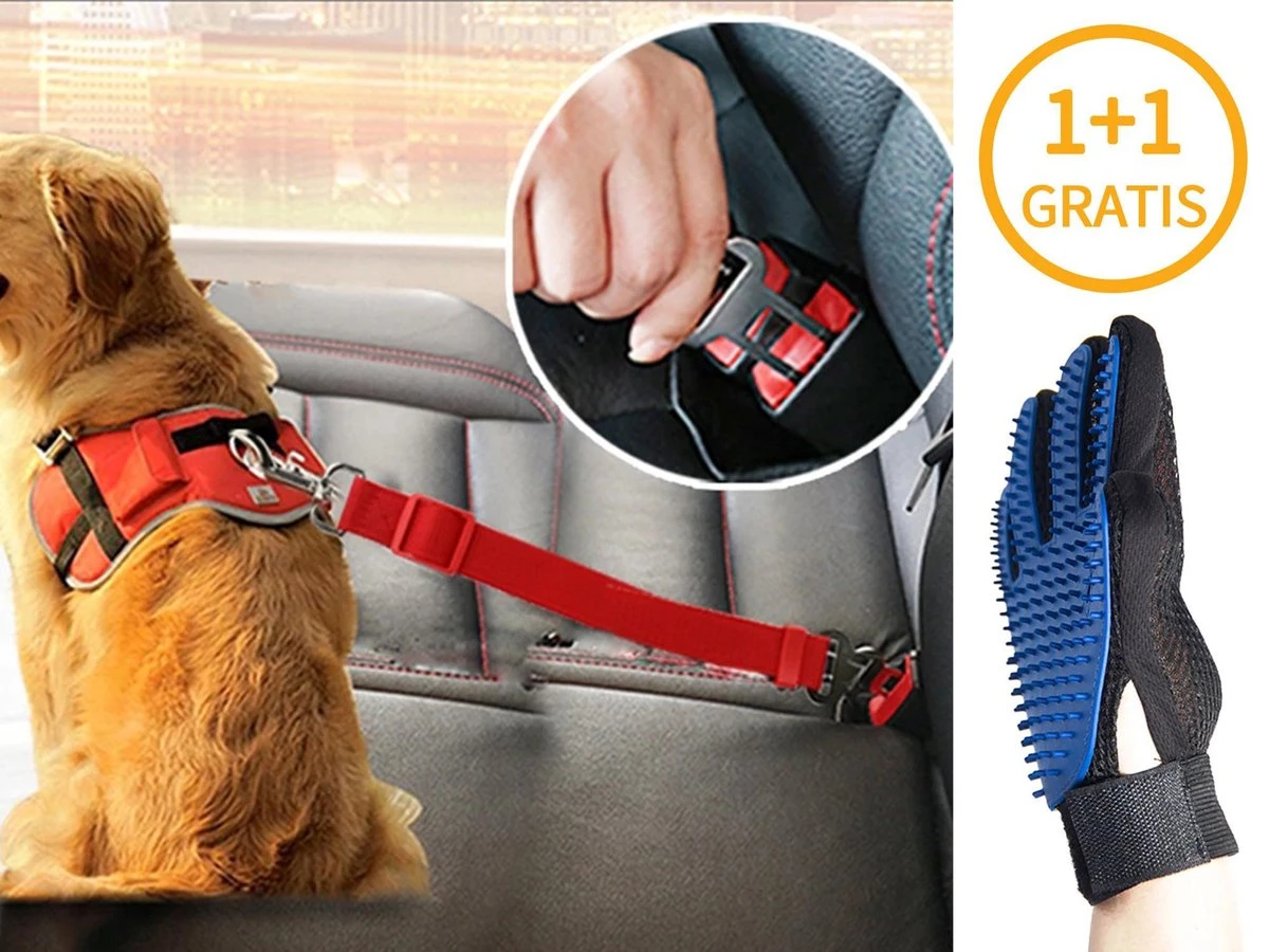 Hondengordel Met Hondenborstel - Vacht Verzorging Massage Borstel - Honden Katten Huisdieren - Verzorgingsborstel Handschoen - Gordel Riem Autogordel Seat Belt - Voordeelpack 1 Hondengordel Met Hondenborstel - Vacht Verzorging Massage Borstel - Honden Katten Huisdieren - Verzorgingsborstel Handschoen - Gordel Riem Autogordel Seat Belt - Voordeelpack