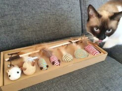 Make Life Beautiful® - Kattenspeeltjes Set - 7-delig - Kattenspeelgoed - Kattenhengel - Speelmuisjes - Kattenspeelgoed Set 15 Make Life Beautiful® - Kattenspeeltjes Set - 7-delig - Kattenspeelgoed - Kattenhengel - Speelmuisjes - Kattenspeelgoed Set -Dieren Product Winkel 1200x900 3