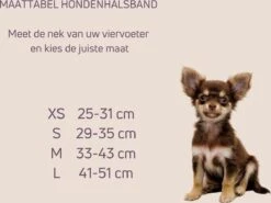 Pepets © Luxe Hondenriem Set – Halsband Hond – Bandana Hond – Strik Hond – Hondenstrik – Hondenhalsband – Leiband Hond -Beige Ruit - Maat S 17 Pepets © Luxe Hondenriem Set – Halsband Hond – Bandana Hond – Strik Hond – Hondenstrik – Hondenhalsband – Leiband Hond -Beige Ruit - Maat S -Dieren Product Winkel 1200x900 46