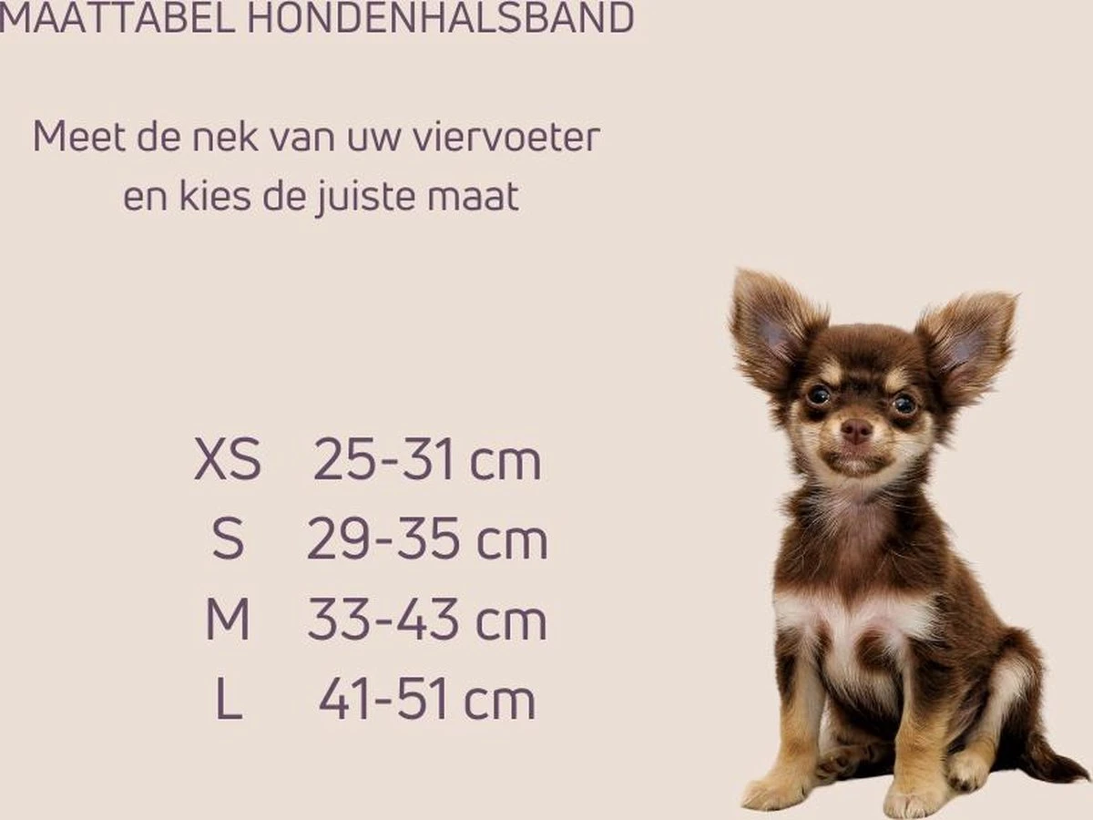 Pepets © Luxe Hondenriem Set – Halsband Hond – Bandana Hond – Strik Hond – Hondenstrik – Hondenhalsband – Leiband Hond -Beige Ruit - Maat S 6 Pepets © Luxe Hondenriem Set – Halsband Hond – Bandana Hond – Strik Hond – Hondenstrik – Hondenhalsband – Leiband Hond -Beige Ruit - Maat S - Afbeelding 6
