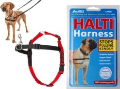 Company Of Animals Halti Harnass - Anti Trektuigje - Hond - Large - Borstomvang Boven De 80 Cm – Zwart 18 Company Of Animals Halti Harnass - Anti Trektuigje - Hond - Large - Borstomvang Boven De 80 Cm – Zwart -Dieren Product Winkel 1200x901 4