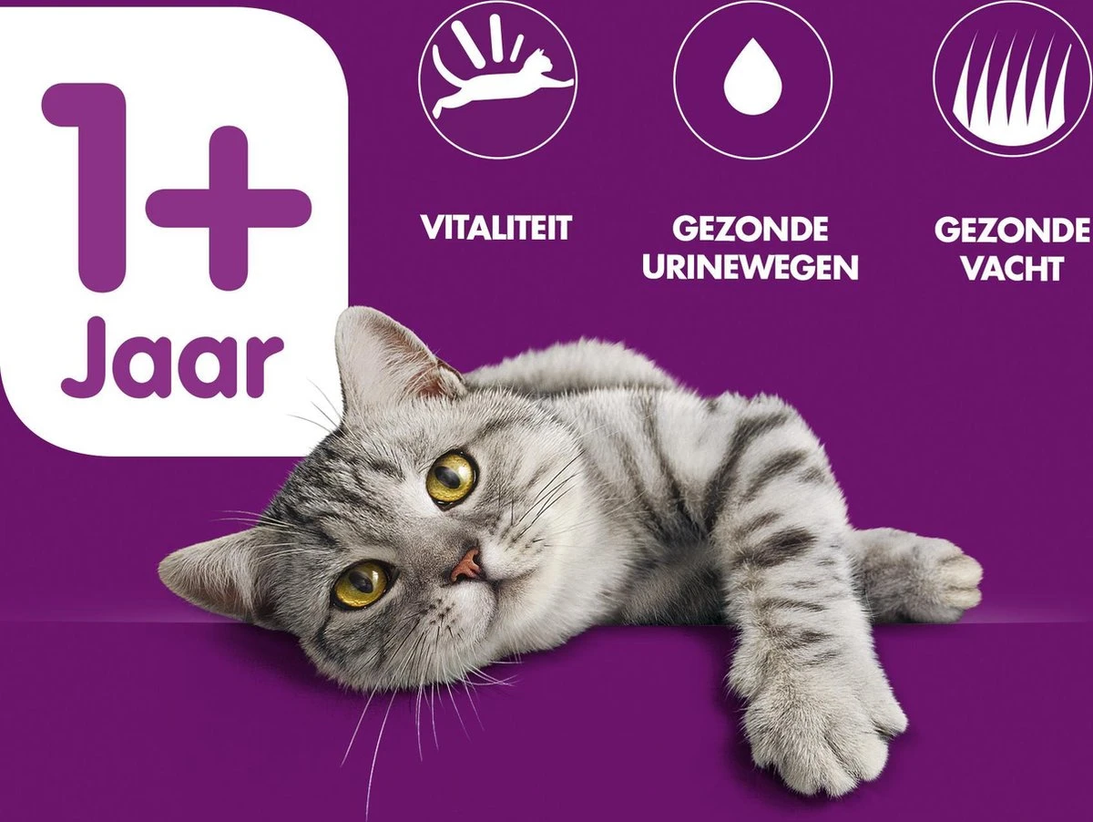 Whiskas Brokjes Adult Rund - Kattenvoer - 1 X 1,9 Kg 2 Whiskas Brokjes Adult Rund - Kattenvoer - 1 X 1,9 Kg - Afbeelding 2