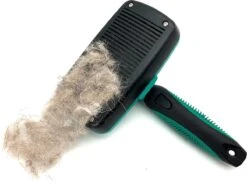 ElegaPet Hondenborstel Groen - Hondenhaar Verwijderen - Kat En Hondenkam - Slickerborstel Hond En Kat - Groomer - Ondervacht Kam Hond - Borstel Hond - Hondenborstel Langharig En Kortharig - Slickerborstel - Anti Klit/Knopen/Huidschilfers 12 ElegaPet Hondenborstel Groen - Hondenhaar Verwijderen - Kat En Hondenkam - Slickerborstel Hond En Kat - Groomer - Ondervacht Kam Hond - Borstel Hond - Hondenborstel Langharig En Kortharig - Slickerborstel - Anti Klit/Knopen/Huidschilfers -Dieren Product Winkel 1200x902 6