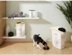 Curver Voedselcontainer Kat - 10 L 16 Curver Voedselcontainer Kat - 10 L -Dieren Product Winkel 1200x917 3