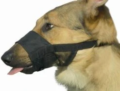 Beeztees Comfort Muilband - Hond - M - 15-20 Cm -Dieren Product Winkel 1200x918 1