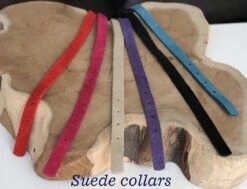 Beeztees Kattenbandje Suede - Zwart -Dieren Product Winkel 1200x918