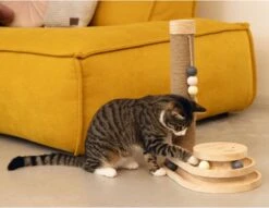 Designed By Lotte Krabpaal Inez 38 X 24,5 X 47,5 Cm 12 Designed By Lotte Krabpaal Inez 38 X 24,5 X 47,5 Cm -Dieren Product Winkel 1200x926