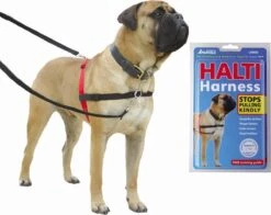 Company Of Animals Halti Harnass Anti Trektuigje - Hond - Small - Borstomvang 30 Tot 60 Cm - Rood -Dieren Product Winkel 1200x950 7