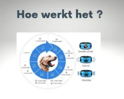 Anti-blafband - Anti Blaf Apparaat - Voor Kleine Honden En Grote Honden - Diervriendelijk - Opvoedingshalsband - Trainingshalsband - Inclusief Batterijen -Dieren Product Winkel 1200x960 18