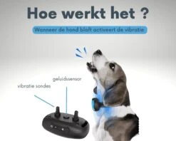 Anti-blafband - Anti Blaf Apparaat - Voor Kleine Honden En Grote Honden - Diervriendelijk - Opvoedingshalsband - Trainingshalsband - Inclusief Batterijen -Dieren Product Winkel 1200x960 19
