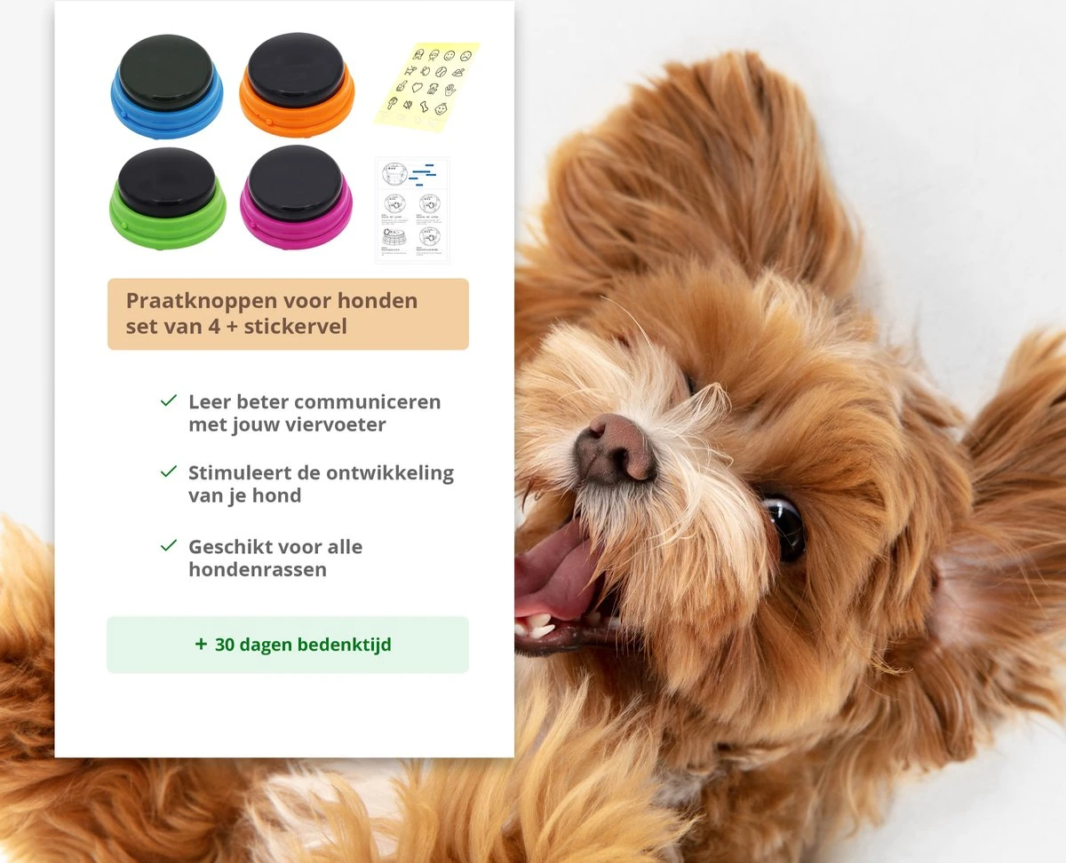 Praatknop Hond – Set Van 4 - Honden Speelgoed – Honden Training – Dogbuttons – Huisdier – Puppy Training - Hondenspeelgoed Intelligentie - Hond Opvoeden 7 Praatknop Hond – Set Van 4 - Honden Speelgoed – Honden Training – Dogbuttons – Huisdier – Puppy Training - Hondenspeelgoed Intelligentie - Hond Opvoeden - Afbeelding 7