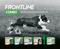 Frontline Combo - L: Van 20 Tot 40 Kg - Anti Vlooienmiddel En Tekenmiddel - Hond - 6 Pipetten -Dieren Product Winkel 1200x979 9