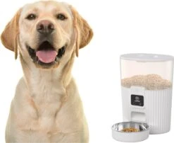 PAPIFEED - Automatische Voerbak Kat En Hond - Voerautomaat Met Smartphone Besturing - Vershoudend - WIFI- Instelbaar Op Afstand Met Smart App -Dieren Product Winkel 1200x981 8