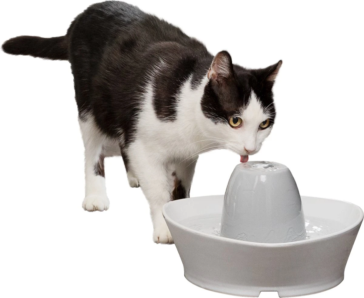PetSafe® Streamside Ceramic Pet Fountain - Keramische Drinkfontein Voor Katten En Kleine Honden - Water Borrelt Zacht Over De Toren - Door Het Design Van Alle Kanten Bereikbaar - 1,8 Liter - PetSafe Streamside 7 PetSafe® Streamside Ceramic Pet Fountain - Keramische Drinkfontein Voor Katten En Kleine Honden - Water Borrelt Zacht Over De Toren - Door Het Design Van Alle Kanten Bereikbaar - 1,8 Liter - PetSafe Streamside - Afbeelding 7