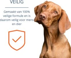 Merkloos Vlooienband Hond - 8 Maanden Bescherming - Vlooienband - Natuurlijk - Tekenband - Anti Vlooien - 63cm - Fit All Sizes - Vlooienbandjes Hond - Vlooien - Teken 17 Merkloos Vlooienband Hond - 8 Maanden Bescherming - Vlooienband - Natuurlijk - Tekenband - Anti Vlooien - 63cm - Fit All Sizes - Vlooienbandjes Hond - Vlooien - Teken -Dieren Product Winkel 1200x987 8