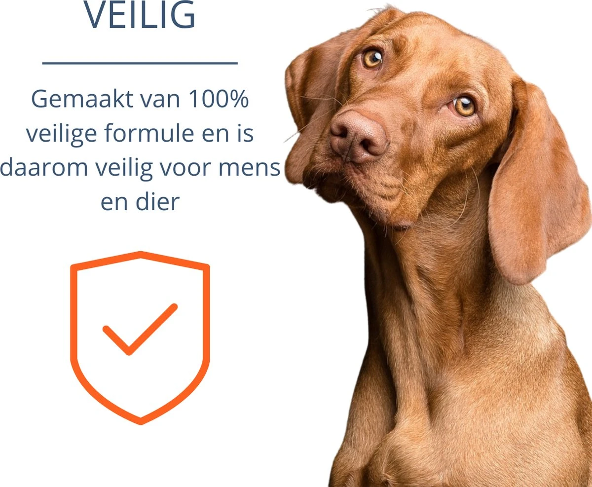 Merkloos Vlooienband Hond - 8 Maanden Bescherming - Vlooienband - Natuurlijk - Tekenband - Anti Vlooien - 63cm - Fit All Sizes - Vlooienbandjes Hond - Vlooien - Teken 9 Merkloos Vlooienband Hond - 8 Maanden Bescherming - Vlooienband - Natuurlijk - Tekenband - Anti Vlooien - 63cm - Fit All Sizes - Vlooienbandjes Hond - Vlooien - Teken - Afbeelding 9