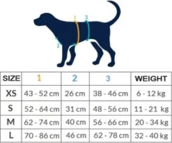 AnnyX Hondentuig - FUN - LIMTED EDITION - Speurtuig - Camouflage - Legergroen - Maat S - Borstomvang 52-64cm - Gewicht Hond 9 -19 Kg - My K9 -Dieren Product Winkel 1200x995 14