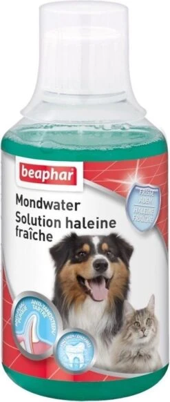 Beaphar Mondwater - 250 Ml -Dieren Product Winkel 509x1200