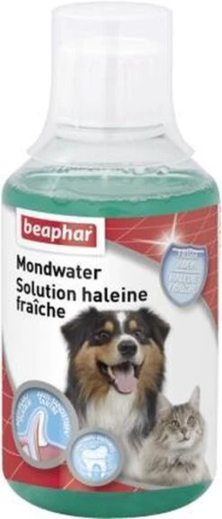 Beaphar Mondwater - 250 Ml -Dieren Product Winkel 515x1200